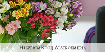 Hilverda Kooij 2